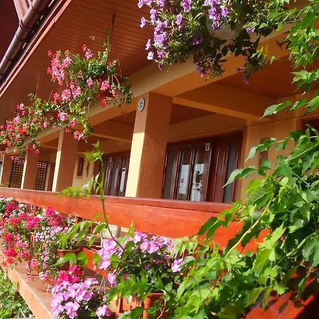 Gasthof Casa Ecaterina *