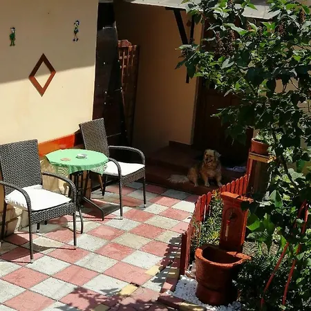 Casa Ecaterina Gasthof Două Mai