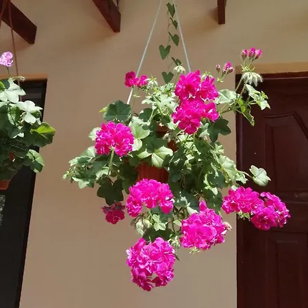 Casa Ecaterina * Două Mai